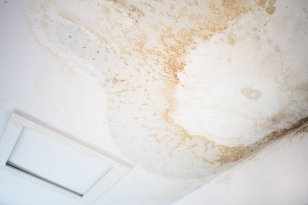 Peeling paint on an interior ceiling a result of water damage caused by a leaking pipe a result of substandard plumbing completed by an unqualified plumber. A common house insurance claim peeling pintura en un techo interior como resultado de los daños causados por el agua causada por una tubería de fugas como resultado de la plomería subestándar completada por un plomero no calificado. una reclamación de seguro de casa común