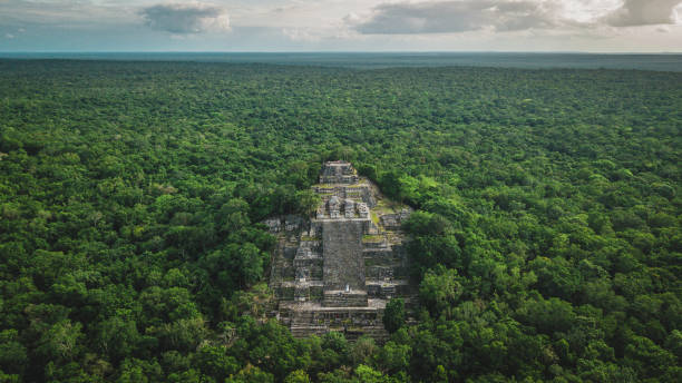 вид с воздуха на пирамиду, калакмул, кампече, мексика - mayan riviera стоковые фото и изображения