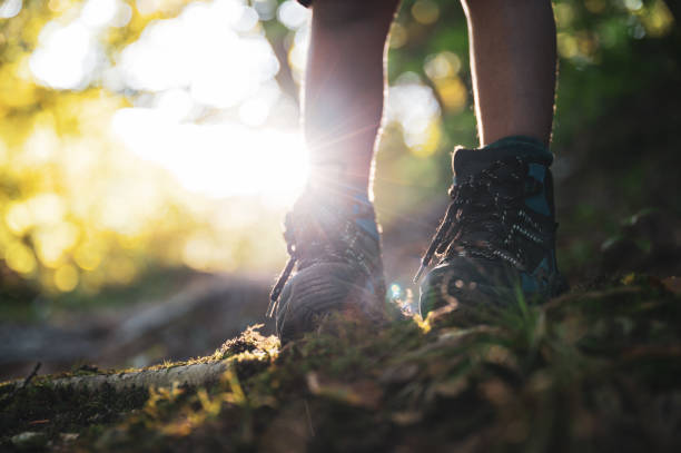 istock Childs legs in hiking boots standing on mountain trail 1215733572