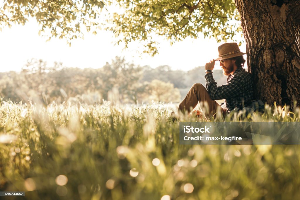 Pensive man sitting under tree Side view of thoughtful adult hipster male traveler sitting under tree on green meadow in sunny summer day with forest in background Tree Stock Photo