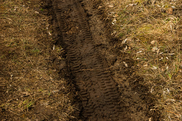 istock Auto tires imprint, in spring, mud and grass 1215737598