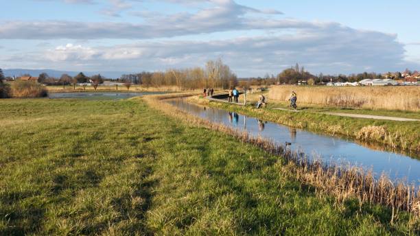 istock Geneva wetland 1215740072