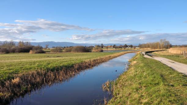 istock Geneva wetland 1215740101