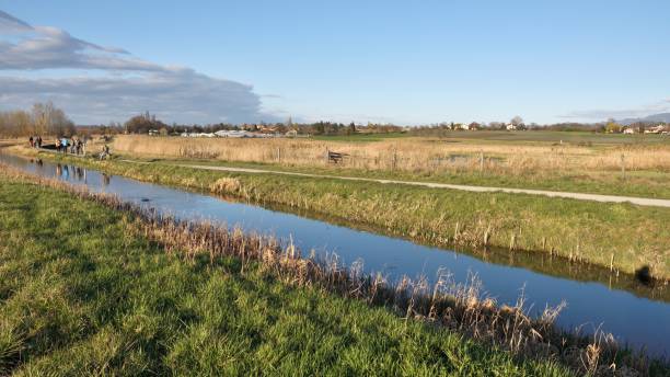 istock Geneva wetland 1215740138