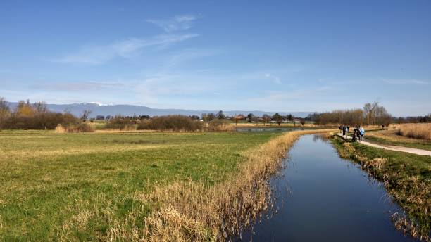 istock Geneva wetland 1215740177
