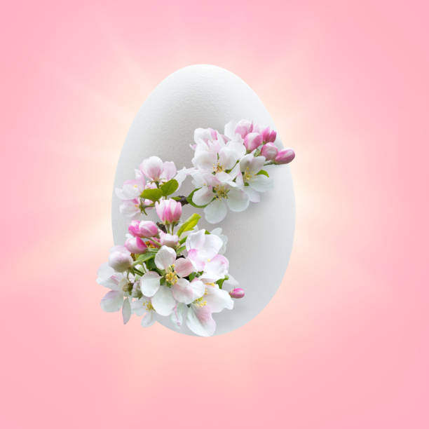 istock Easter egg with a sprig of blooming pink apple tree 1215741053