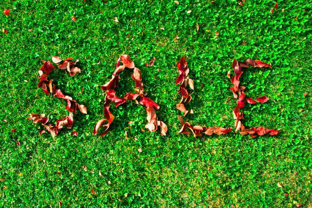 istock autumn sale poster 1215742941