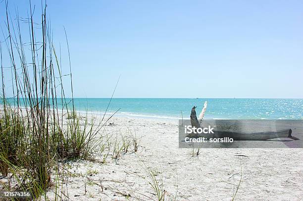 Küste Des Tropischen Insel Stockfoto und mehr Bilder von Blau - Blau, Farbbild, Florida - USA