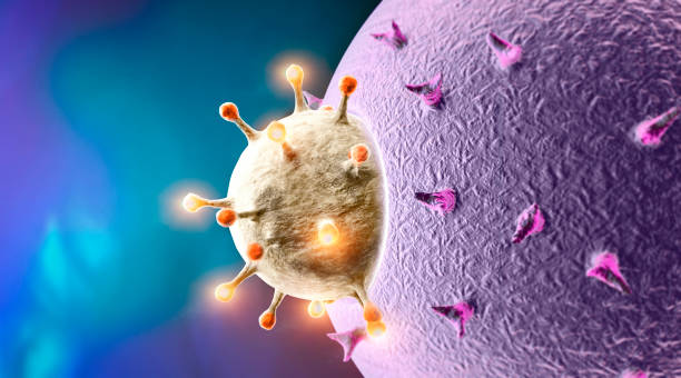 istock Propagation of the virus. How coronavirus attacks cells. If the virus finds a compatible receptor allow covid-19 to replicate itself. 1215744505