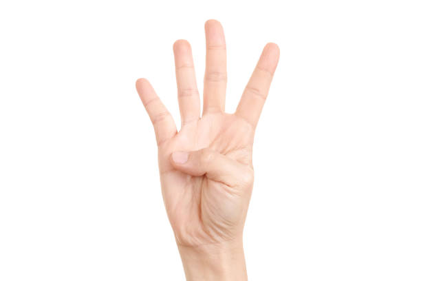 istock Hand shown four finger symbol on isolated white background for graphic designer. 1215744539