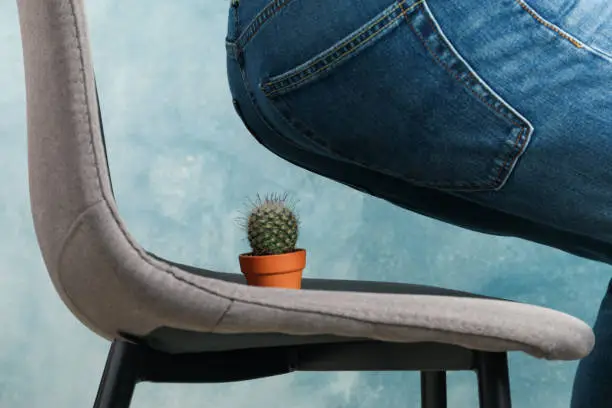 Man sit on a chair with cactus. Hemorrhoids