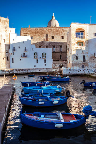 Monopoli town, southern Italy Monopoli is a town on the Adriatic Sea, in southern Italy. A Puglia port town  Monopoli with medieval churches and castles jutting above the Adriatic sea monopoli puglia stock pictures, royalty-free photos & images