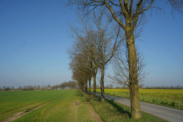 istock spring time in the german muensterland 1215745117
