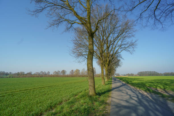 istock spring time in the german muensterland 1215745212