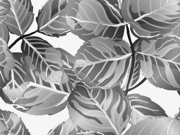 ilustrações de stock, clip art, desenhos animados e ícones de leaves seamless pattern. - stamen