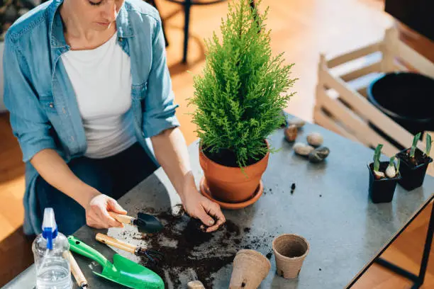 Photo of High angle view of a woman taking care of the plants.