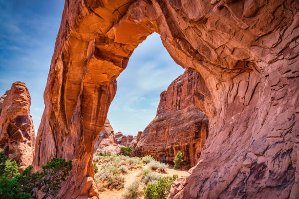 istock Devil’s Garden Pine Tree Arch Arches National Park USA 1215746361