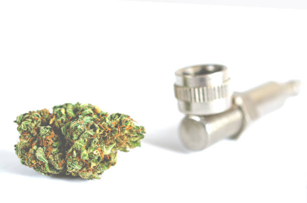 istock Cannabis flour, flowers and seeds. Marijuana D 1215747211