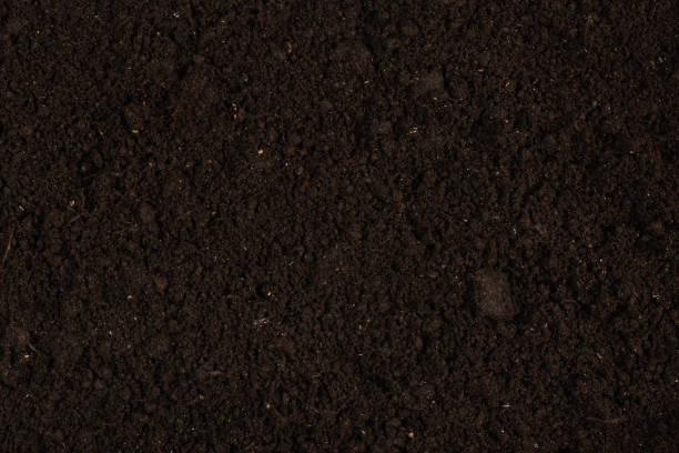 istock Black land for plant background. 1215750238