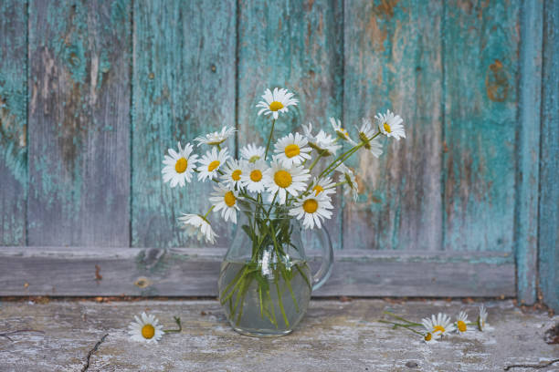 istock Charming still life with copy space chamomilles and daisies in water on wood background 1215754544