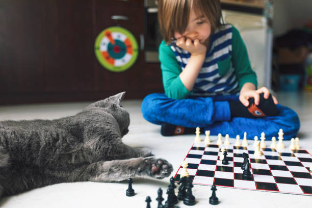 istock Little boy playing chess. Cat next to him. 1215754657