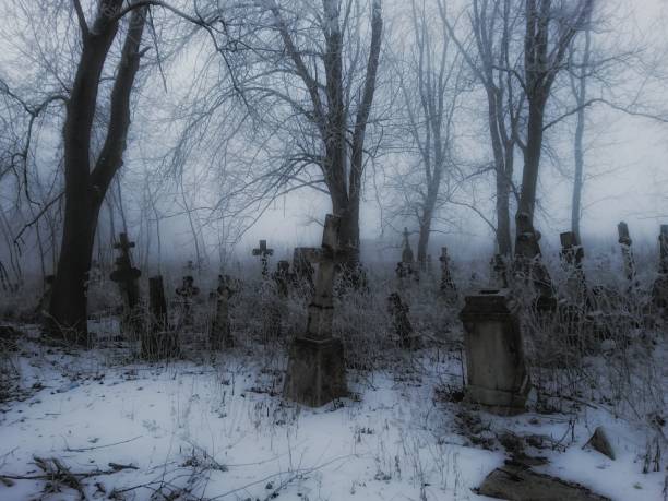 istock Cemetery in winter in the fog 1215755542