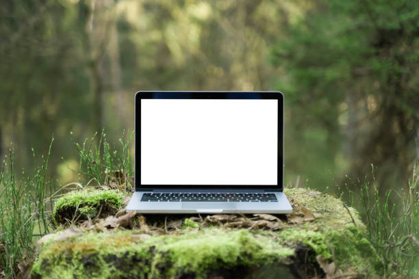 istock Laptop outside concept. Empty copy space, blank screen mockup. Soft focus laptop in nature background. Ecology travel and work outside office concept 1215756051