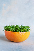 wasserkresse salat mikrogr%C3%BCns in leuchtend orange grapefruitschale auf blauem hintergrund - Dirty Facts About Keto Diet Revealed
