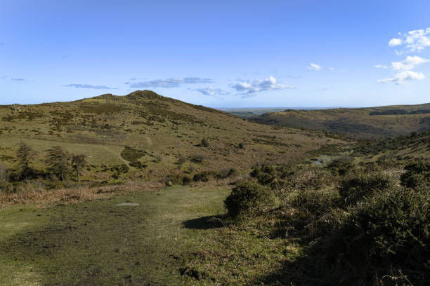 Sharp Tor A bracketed landscape image of Sharp Tor near Dartmeet on a lovely spring afternoon, Dartmoor National Park, Devon, England. outcrop stock pictures, royalty-free photos & images