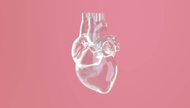 3d 렌더링 된 그림입니다. 분홍색 배경에 유리 렌더링 마음의 이미지, 의료 개념 - glass heart 뉴스 사진 이미지