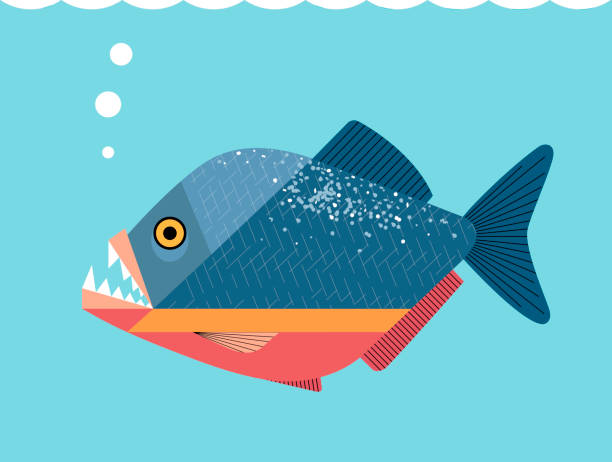 illustrations, cliparts, dessins animés et icônes de piranha - piranha