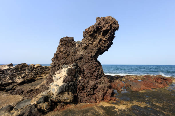 istock volcanic shore in Tenerife 1215762125