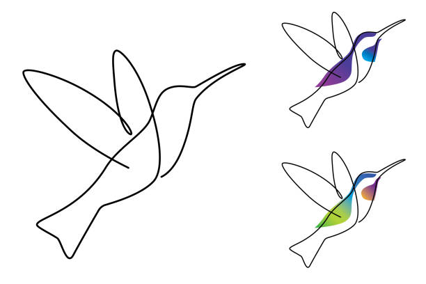 hummingbird continuous line hummingbird drawing with a single line continuous line drawing bird stock illustrations