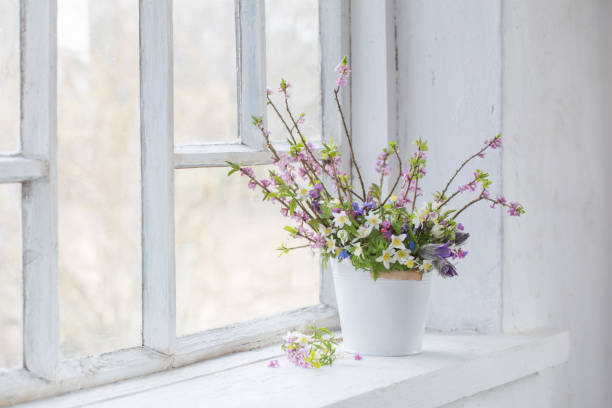 istock spring flowers in white bucket on old white windowsill 1215765523