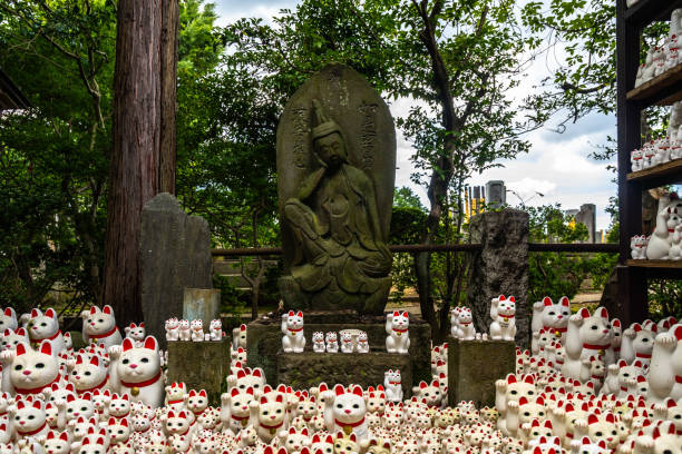 estatuas de maneki-neko expuestas en el jardín del templo gotokuji, tokio - distrito de setagaya fotografías e imágenes de stock