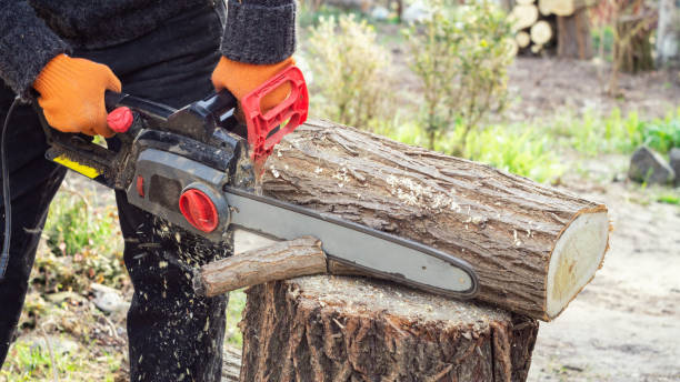 istock Woodcutter sawing a log with a chainsaw 1215766856