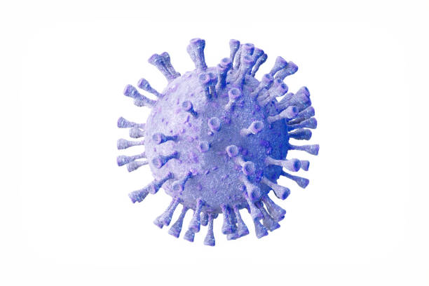 istock Coronavirus 2019-ncov flu infection 3D medical illustration. Coronavirus 3d rendering. Illustration showing structure of epidemic virus. Dangerous asian ncov corona virus, SARS pandemic risk concept 1215768093