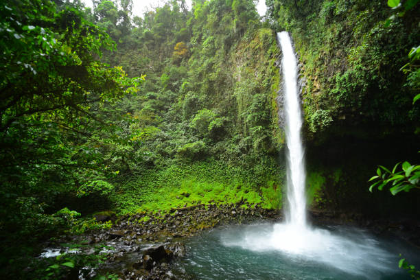 istock La Fortuna waterfall and river run with lush tropical rainforest 1215769792