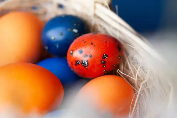 Easter eggs in trendy colors in the basket. The concept of stylish natural decoration for Easter, minimalistic, zero waste, greeting cards, etc.