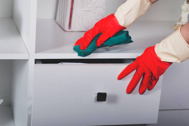 istock woman clean home 1215771488