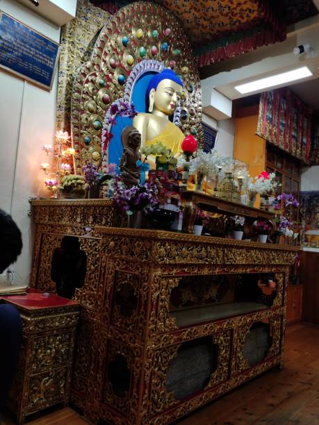 Golden statue of Buddha with blue hair IN Dalai Lama TAMPLE . DHARAMSALA, INDIA - 2019: Golden statue of Buddha with blue hair on the Altair in temple of the Dalai Lama. golden tample stock pictures, royalty-free photos & images
