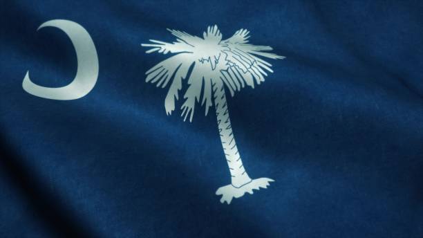 風に手を振るサウスカロライナ州の旗。サウスカロライナ州の国旗。サウスカロライナ州の兆候。3d イラスト - columbia north carolina ストックフォトと画像