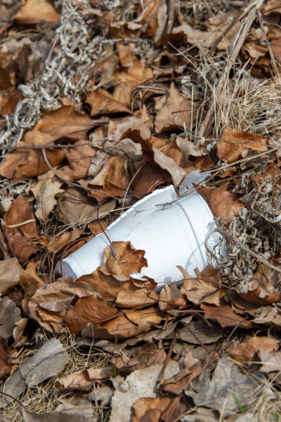 istock Plastic litter on the ground with winter leaves. 1215775117