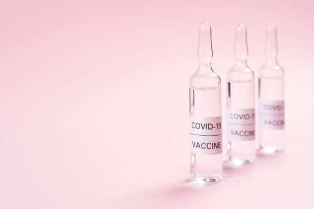 Vaccine for COVID-19. Ampoules with medicine for coronavirus on a pink background Vaccine for COVID-19. Ampoules with medicine for coronavirus on a pink background. Copyspace. Close-up. Development and use of a cure for a new virus crista ampullaris photos stock pictures, royalty-free photos & images
