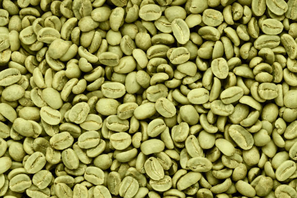 Green coffee beans background. stock photo