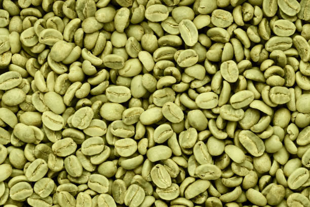 Green coffee beans background. Green coffee beans background. Texture top view. raw coffee bean stock pictures, royalty-free photos & images