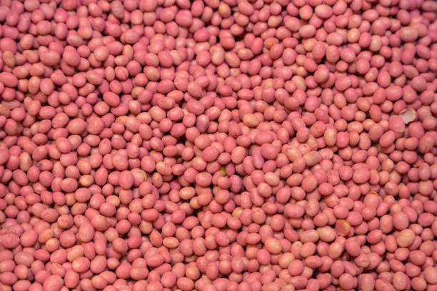 Treated soybeans ready for planting