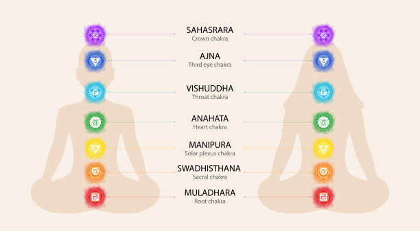 illustrazioni stock, clip art, cartoni animati e icone di tendenza di chakras: muladhara, swadhisthana, manipura, anahata, vishuddha, ajna, sahasrara. simbolo della linea vettoriale. segno om. silhouettes dell'uomo e della donna in una posa di loto. cerchi fumosi. stile acquerello. icona sacrale. meditazione - om symbol yoga symbol hinduism