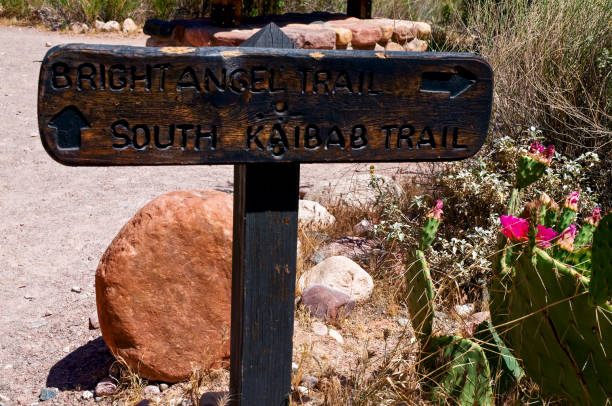 istock Trail Marker Grand Canyon 1215784120