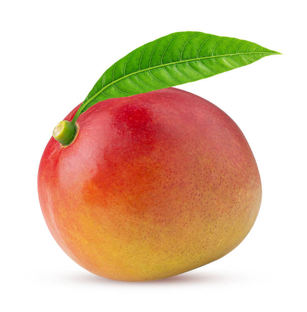 istock Mango exotic friut with leaf 1215784240
